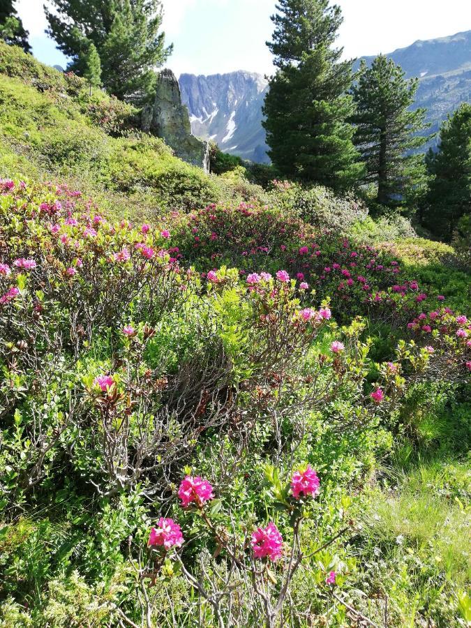 Apart Waldesruh Arzl im Pitztal Esterno foto