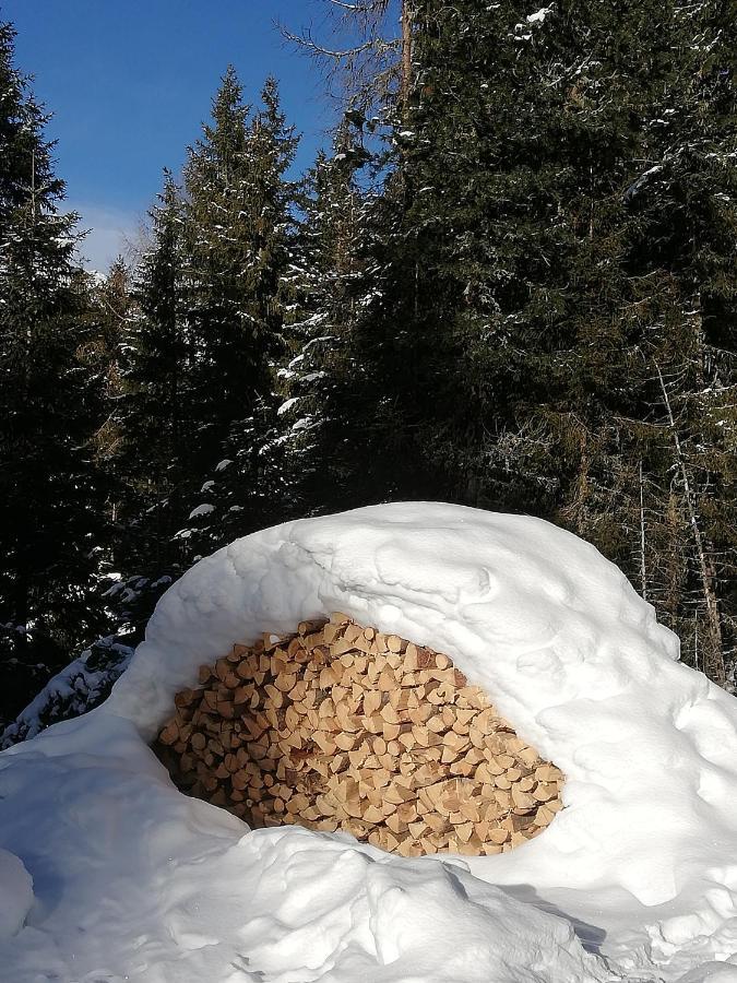 Apart Waldesruh Arzl im Pitztal Esterno foto