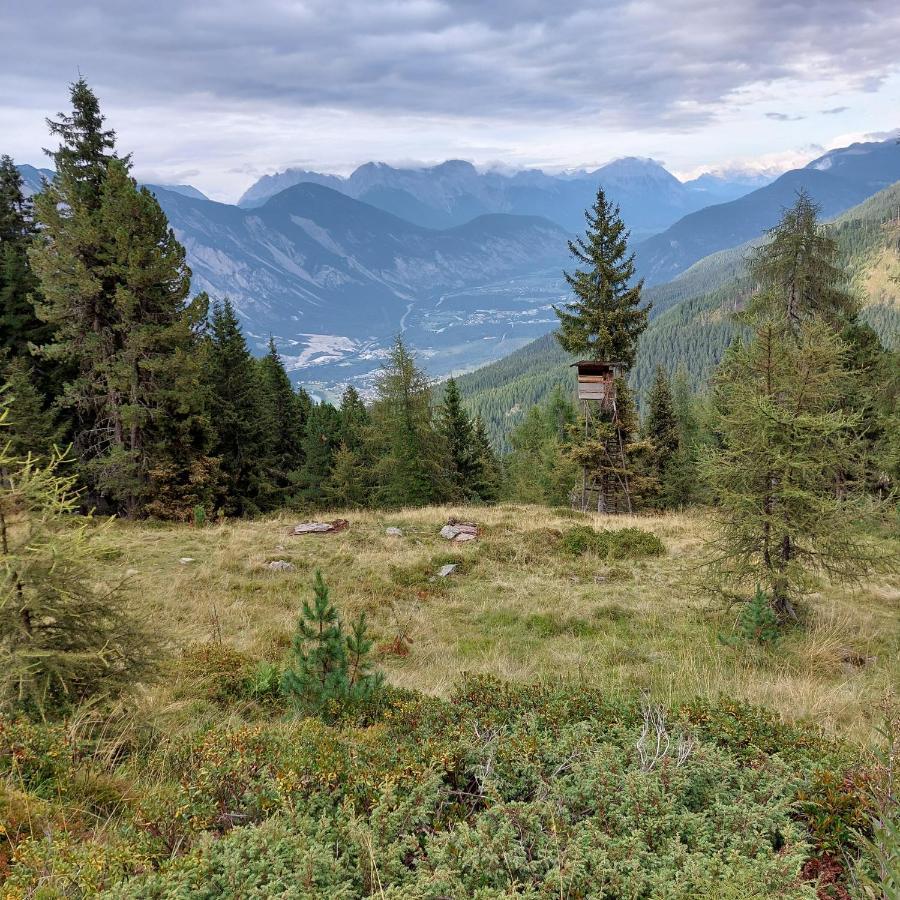 Apart Waldesruh Arzl im Pitztal Esterno foto