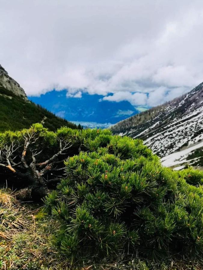 Apart Waldesruh Arzl im Pitztal Esterno foto
