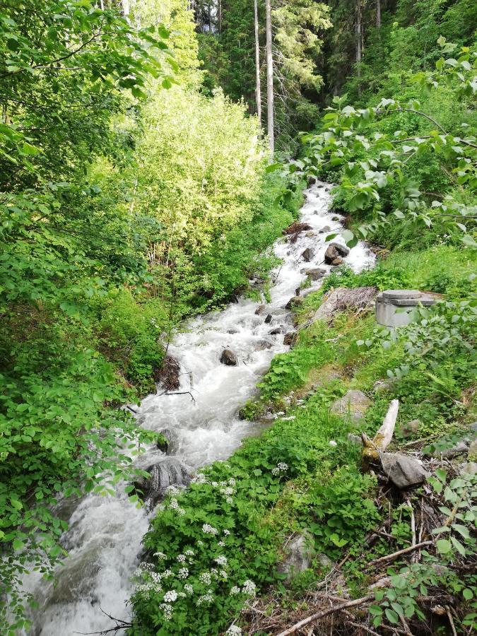 Apart Waldesruh Arzl im Pitztal Esterno foto